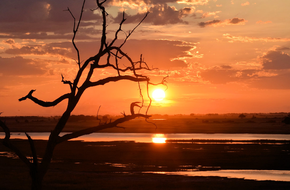 Zonsondergang in het Chobe National Park