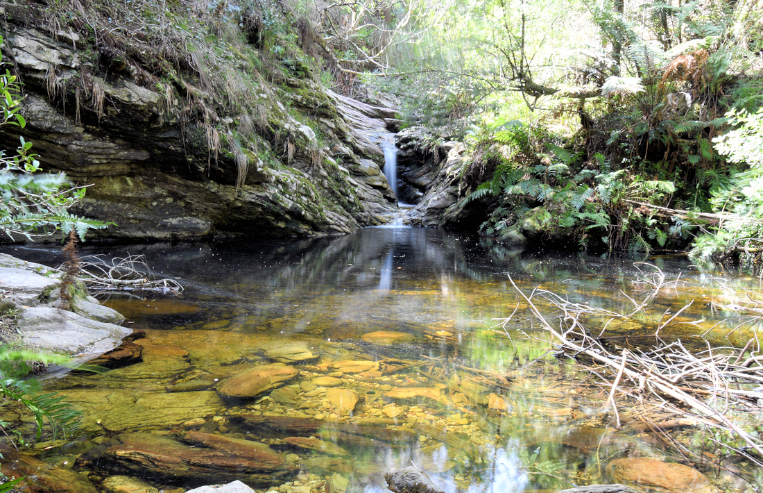 Waterval in de oerbossen bij Knysa in Zuid Afrika