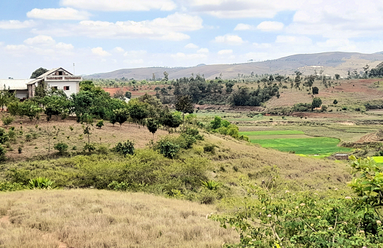 Landschap onderweg tijdens rondreis Madagascar